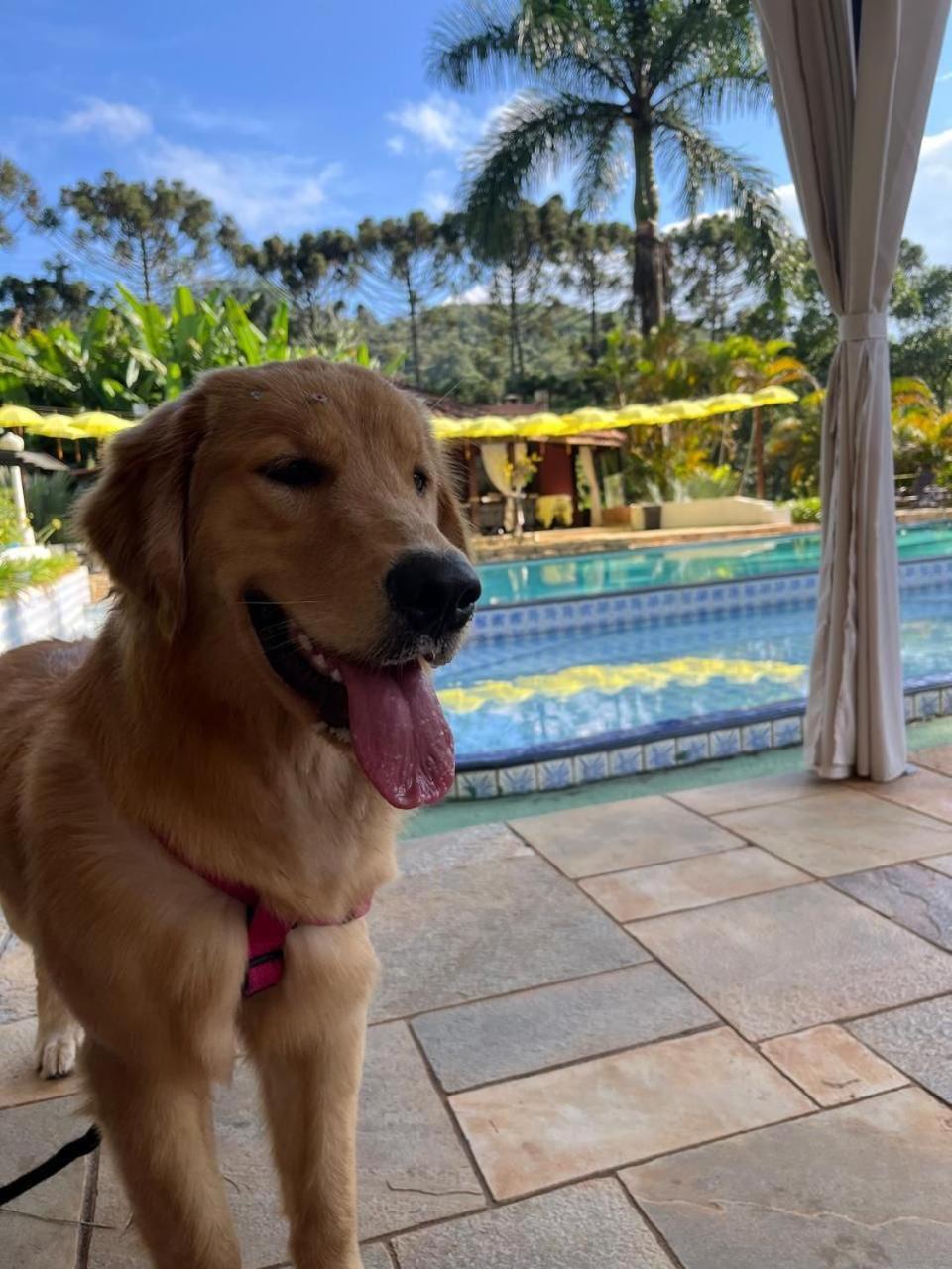 Pousada Quinta das Araucárias São Roque Exterior foto
